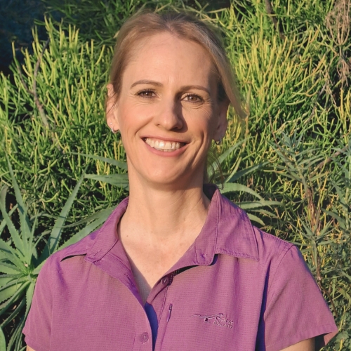 Tammy Johnson - Chiropractor